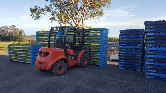 Rough Terrain Forklift with 65hp Diesel Engine