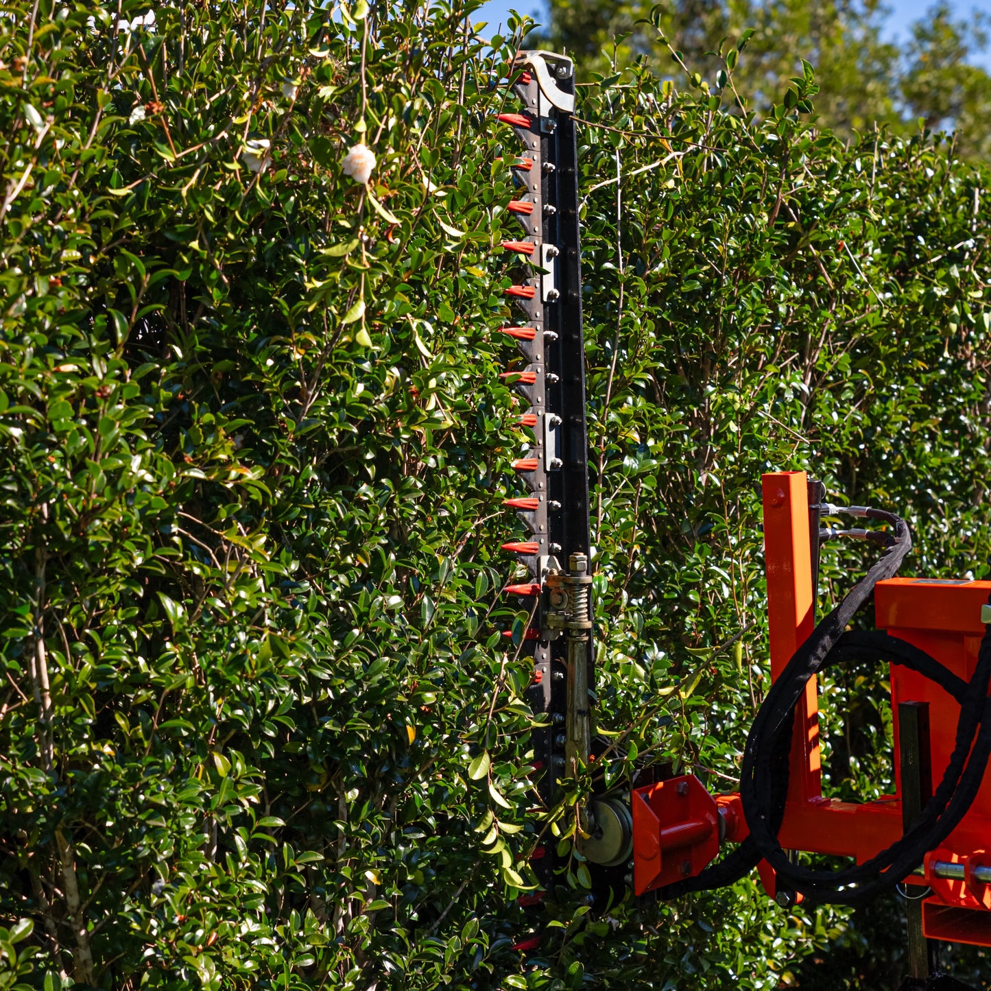 Ozziquip Hydraulic Hedge Cutter