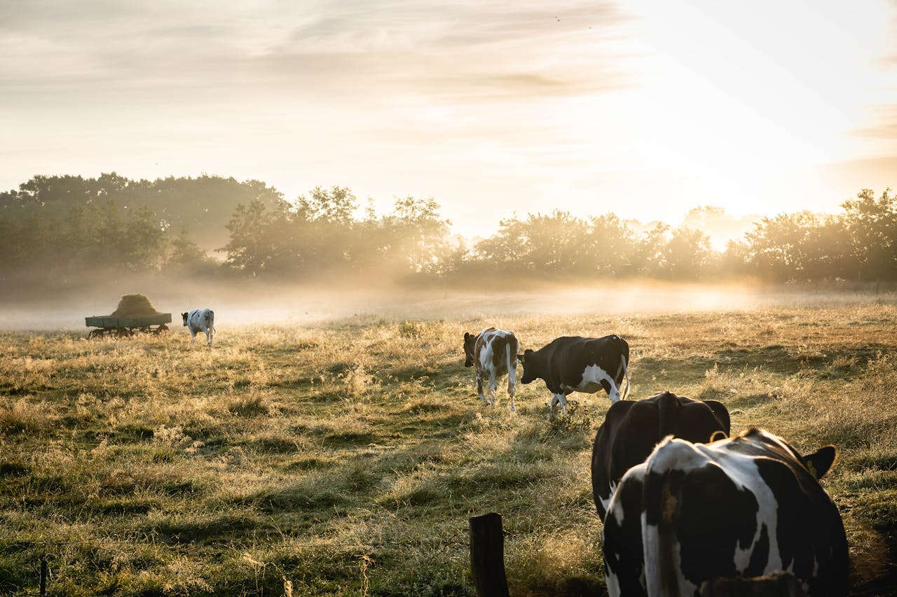 Farming and Agriculture