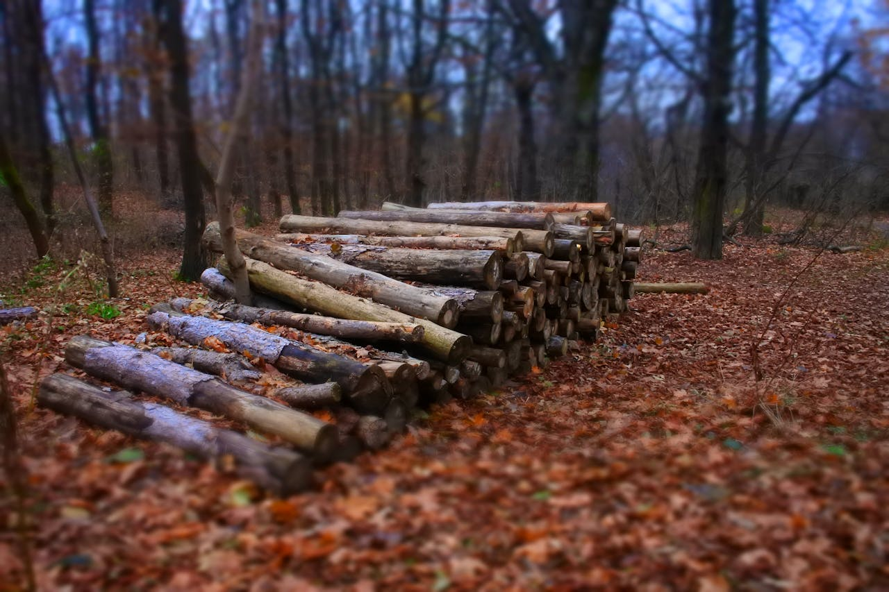 Landclearing and Forestry
