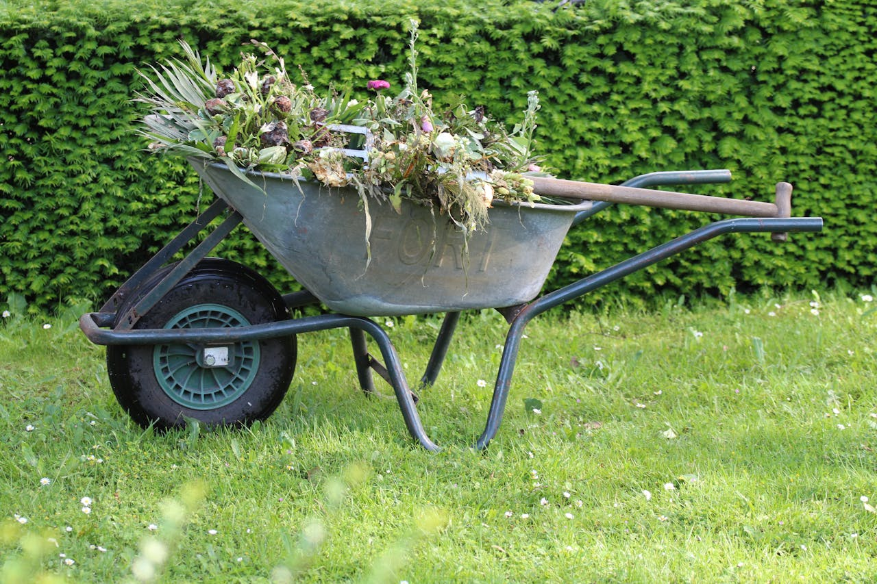 Landscaping and Gardening